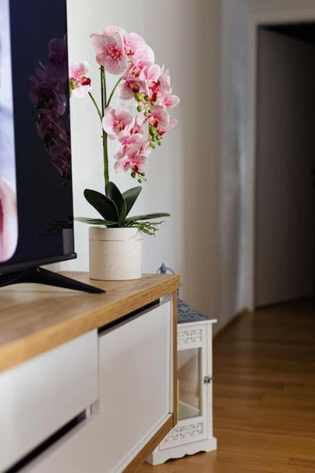 Lux Self Check-in Apartment Virovitica